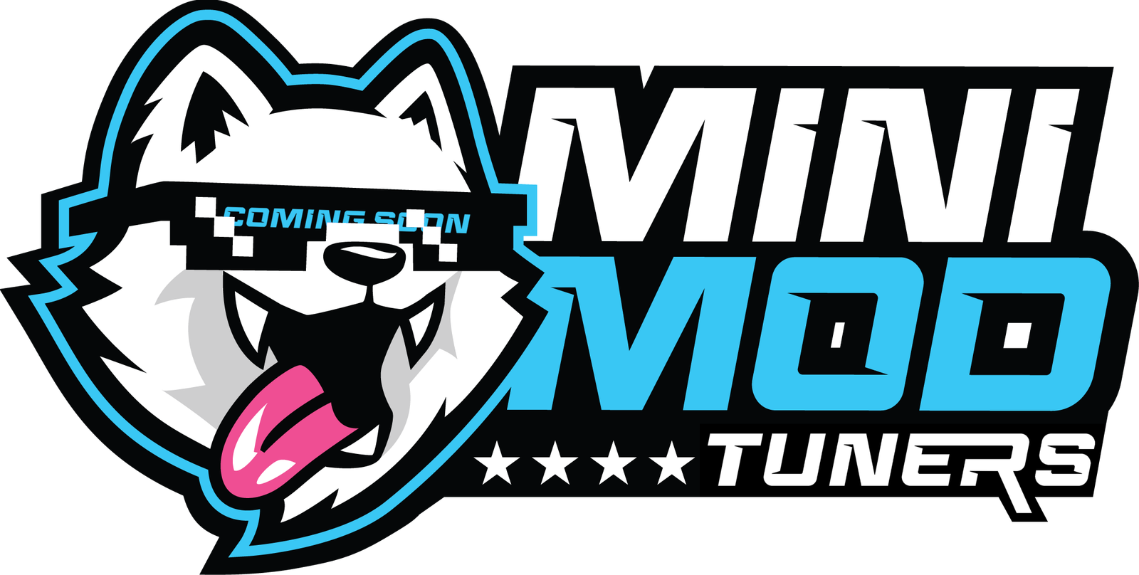 MiniMod Tuners